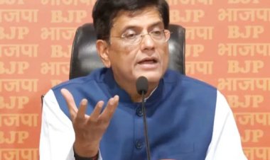 लोकसभा चुनाव में हार की हताशा से नहीं उबरे राहुल गांधी : पीयूष गोयल